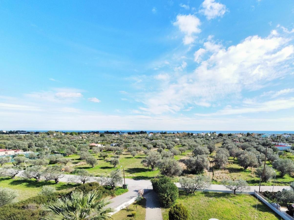 Villa Olive Grove Afantou Exterior photo